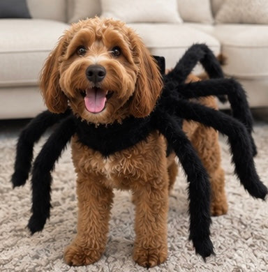 A dog wearing the SpiderPup costume